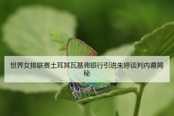 shi-jie-nv-pai-lian-sai-tu-er-qi-wa-ji-fu-yin-hang-yin-jin-zhu-ting-tan-pan-nei-mu-jie-mi-3-358.jpg